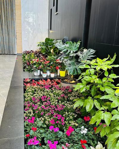 Tropical Garden Installation