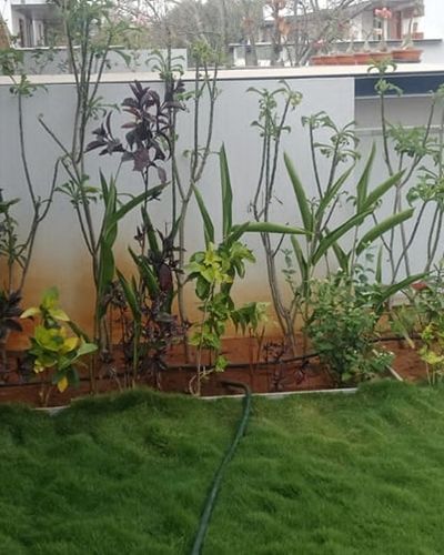 Garden Design & Landscaping