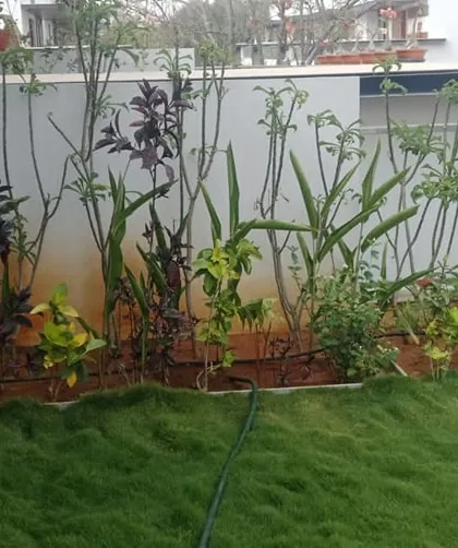 This is the result of consistent care: a thriving terrace garden that has become a true outdoor retreat. My maintenance services ensure your plants stay healthy and your space remains beautiful, even during the hot Bangalore summer.