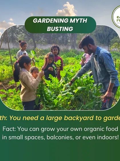 One of the biggest myths is that you need a large backyard. The truth is, you can grow your own organic food on balconies, rooftops, or even a sunny windowsill with the right techniques.