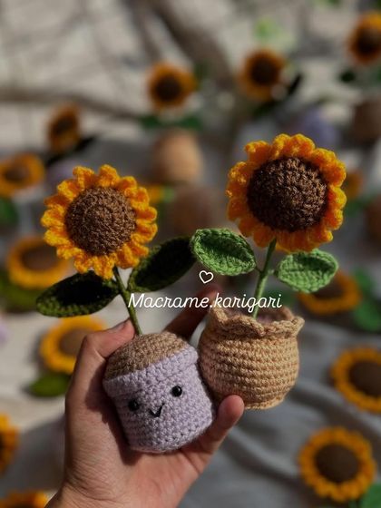 Holding two different styles of our mini sunflower pots. We offer them in various colors and pot designs to suit your preference.