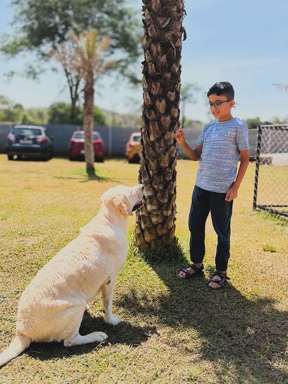 The Pawsome Camp - Dog Park & Pool Paws & People: A Community of Dog Lovers photo 27