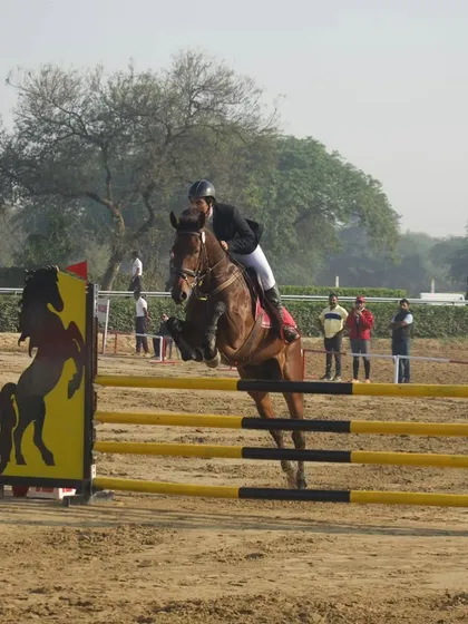 A classic show jumping photo capturing the perfect moment over a fence. This is the image of excellence we strive for with all our students.