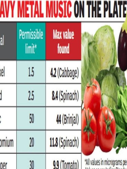 Multiplex Urban Green - Organic Gardening Supplies Gardening for Beginners: Tips & Tricks photo 8