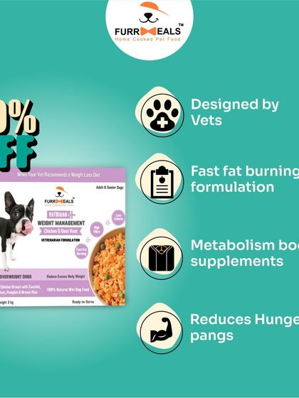 My VetBlend+ Weight Management food gets results. This series shows the vet-designed formula, its key fat-burning ingredients, and real testimonials from pet parents who have seen their dogs lose weight and become more active.