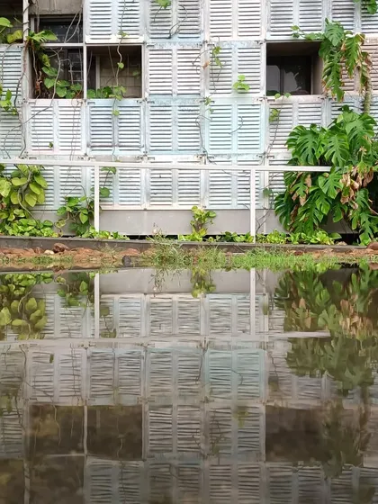 A building should live and breathe with its environment. The facade of the Eklavya campus in Bhopal, made from reclaimed railway windows, has become a vertical garden, with creepers weaving through and providing nesting spaces for birds, as its reflection shimmers in the collected rainwater below.