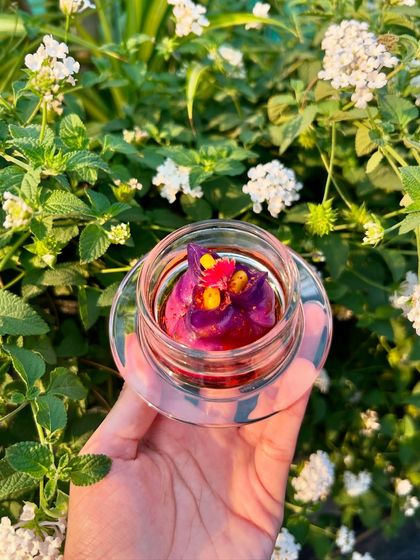 Artisanal Appetizers & Canapés photo 62