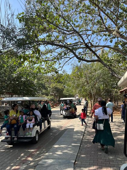 Evolve Montessori - Montessori Preschool Program Adventures Beyond the Classroom photo 6