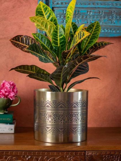 Thorny Affair - Pots & Planters Handcrafted Metal Planters photo 24