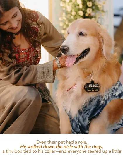 Even the pet had a role! The couple's golden retriever walked down the aisle as the ring bearer, a tiny box tied to his collar. It was a heartwarming and personal moment that brought tears to everyone's eyes.