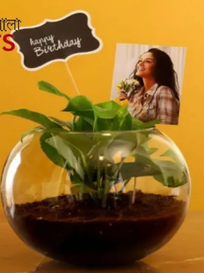 Celebrate their special day with a living gift. This beautiful indoor plant comes in a clear glass bowl, and I can add a custom photo and a 'Happy Birthday' message to make it extra memorable.