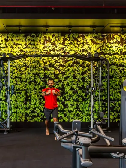 We integrate biophilic design into wellness spaces to enhance the mind-body connection. This vibrant living wall in a gym provides a natural, calming backdrop for workouts, helping to reduce stress and improve focus.
