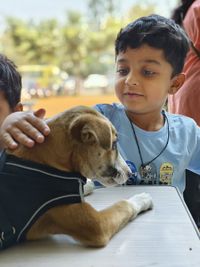 Animal Welfare & Adoption Services