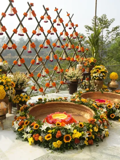 Vibrant Haldi & Mehendi Functions photo 50