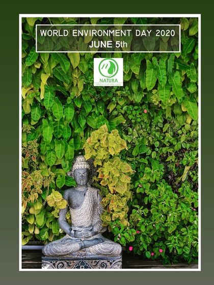 Natura - Vertical Garden & Living Wall Installation Our Credentials & Vision photo 3