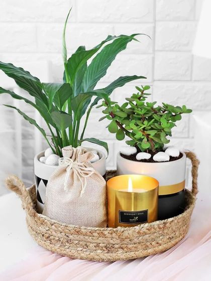 Dottedi - Bespoke Gifting & Hampers Diwali & Festive Celebrations photo 13