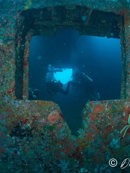 The ocean holds many secrets, and we love exploring them. This view from inside a sunken vessel at Gaafaru atoll shows how shipwrecks become thriving artificial reefs, offering a unique blend of history and marine biology on our wreck diving trips.