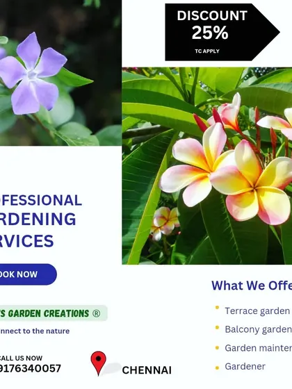 We offer professional gardening services with a special discount for new projects. Whether you need a terrace garden, balcony setup, or general maintenance, book now to connect with nature.