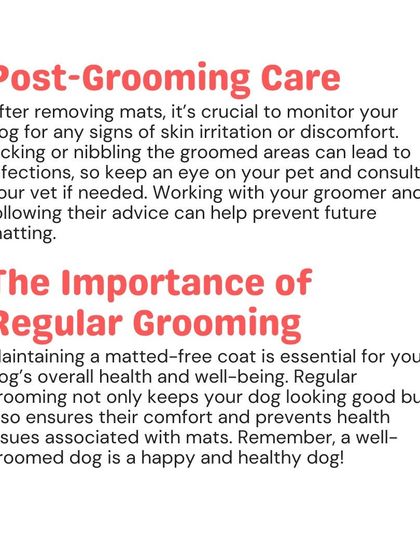 Woofly - Home Veterinary Services Coat & Skin Care photo 7