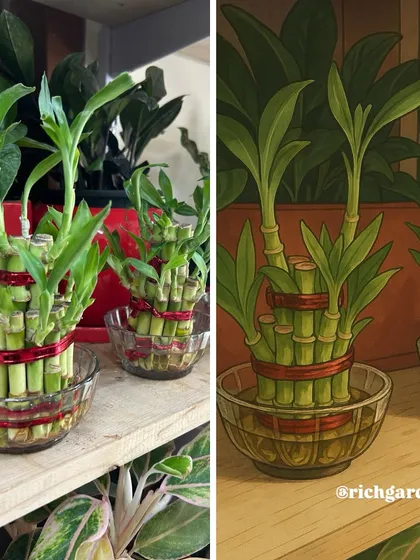 My lucky bamboo, reimagined in the whimsical Ghibli art style. It’s fun to see my plant buddies in a different, animated light.