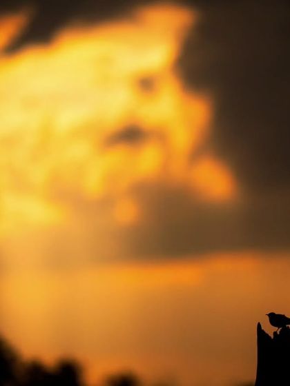 The Art of Seeing: Creative Compositions photo 8