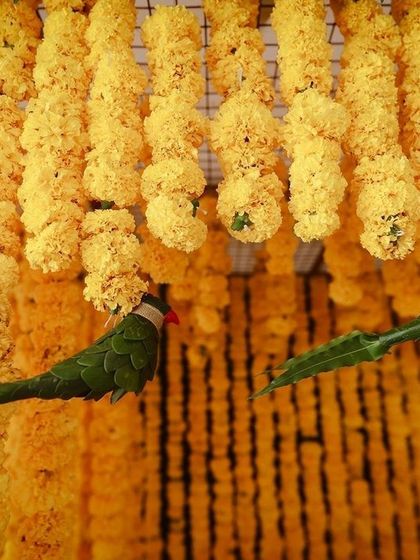 A charming detail from the Haldi decor, featuring two parrots handcrafted from leaves, perched among the bright yellow marigold strings.