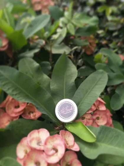 A close-up of the lip scrub container. The simple, clean packaging reflects the natural ingredients inside.