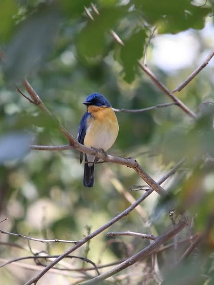 Discovery Village Resorts - Corporate & Group Outings Relaxed Pursuits & Nature Connection photo 27