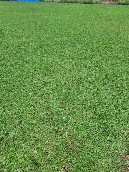 Rakshith Landscaping - Landscape Design & Installation Lush Lawns: Natural & Artificial photo 22