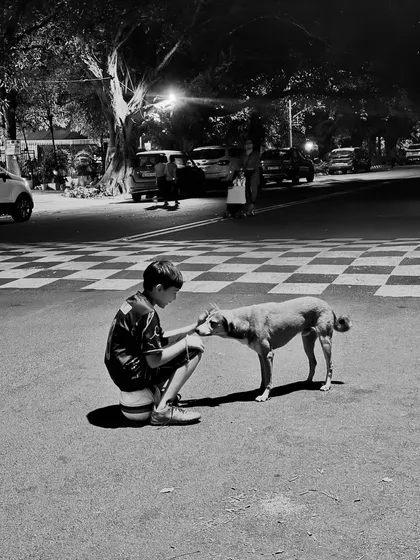 A heartwarming street scene of a young boy and a dog. This black and white photo captures a moment of pure, simple care and connection.
