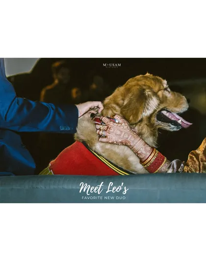 Sometimes, the most important family members have four paws. I believe a wedding is about your whole world coming together, and that includes your furry companions. Capturing moments like this, where Leo the dog is right in the center of the celebration, reminds me that a wedding isn't just an event; it's about home.