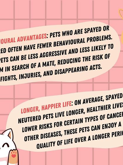 Furever Safe - Pet Training Pet Parent Knowledge Hub photo 7