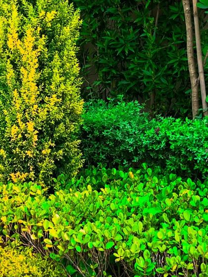 Luxury Villa & Farmhouse Estates photo 34