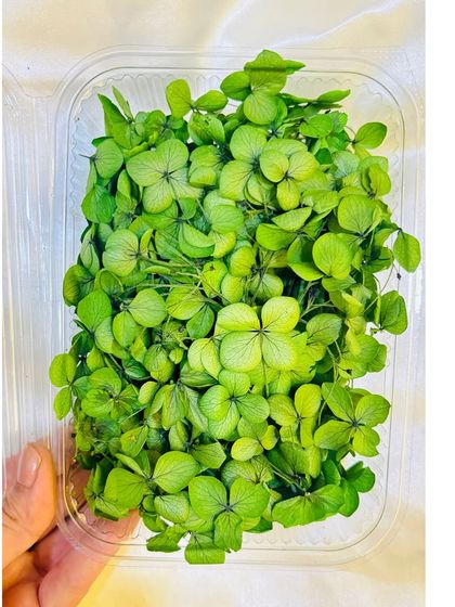 Decorative Supplies & Embellishments photo 4