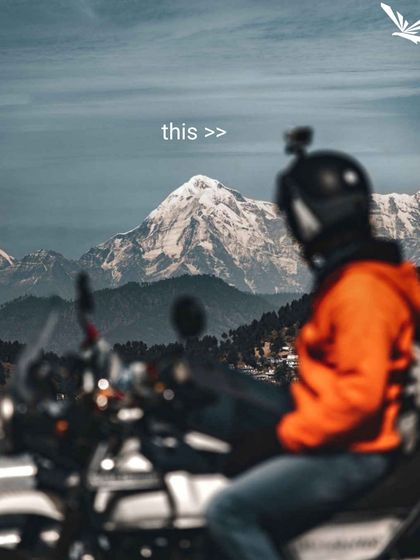 The Travel Bug: Memes & Motivation photo 37