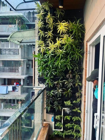 A detailed shot of the living wall, showcasing the variety of plant species used to create a rich tapestry of colors and textures.