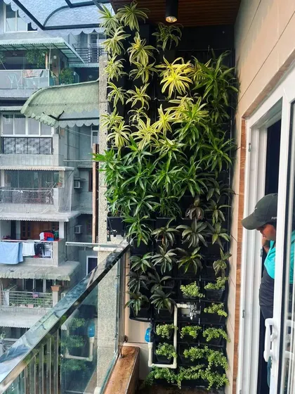 A detailed shot of the living wall, showcasing the variety of plant species used to create a rich tapestry of colors and textures.