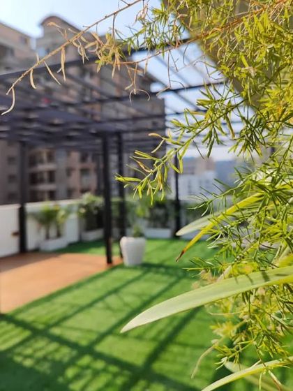 A view through the plants of a completed project in South City 2, Gurgaon. The design includes a large pergola over an artificial lawn and wooden deck.