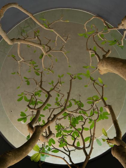 Sculptural Architecture: A Study in Concrete photo 17