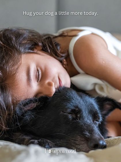 Pawparazzi By Prathima - Family & Pet Photography Kids & Their Furry Siblings photo 6