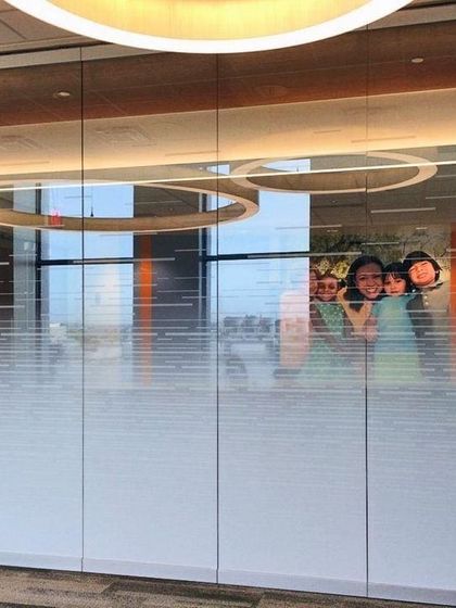 Wall Mind - Window Treatments Frosted Glass Films: Privacy for Your Office photo 14