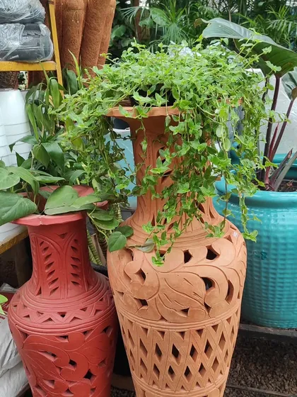 This image showcases our large, ornate terracotta urns alongside vibrant blue ceramic planters, perfect for making a statement on a patio or in a garden.