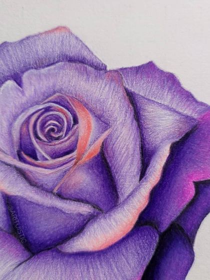 A close-up of the center of the purple rose, showing the intricate layering of colors to create depth.