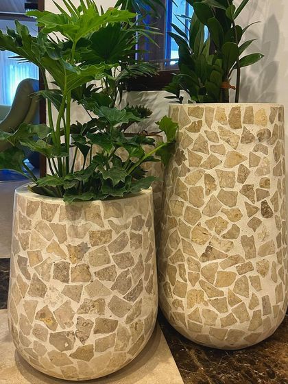A pair of my popular terrazzo planters, showing how different shapes can be grouped together to create a cohesive and stylish plant display.