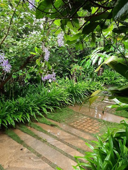 Art Yard - Residential Landscape Design & Execution Luxe Villa & Backyard Landscapes photo 9