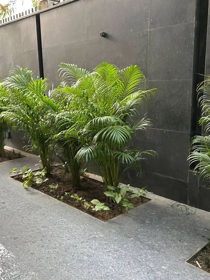 Lawns, Pathways & Vertical Gardens photo 8