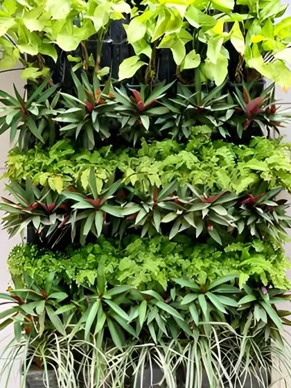 A vertical garden with a structured, layered planting style. This design uses rows of different plant types to create a more formal and organized pattern.