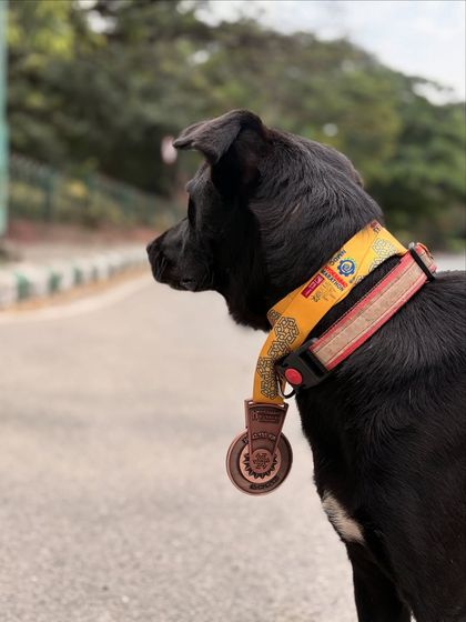 Sujith Kumar - Running & Fitness Coaching My Paw Friends photo 12