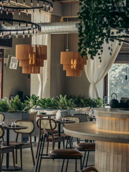 The interplay of light and shadow, with sheer curtains diffusing the natural light and pendant fixtures adding focused warmth. The greenery provides a vibrant splash of color against the neutral palette.