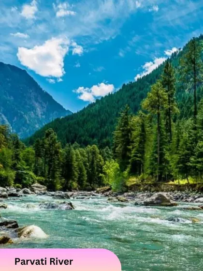 The beautiful Parvati River flowing through the valley near Kasol. Our caravan allows you to park and enjoy such serene natural spots.
